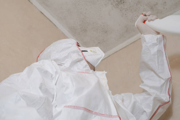 Best Commercial Mold Removal  in Cumings, TX