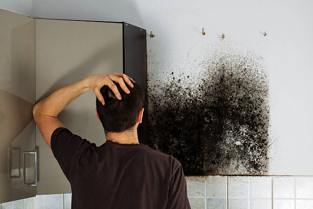 Best Local Mold Removal Service  in Cumings, TX